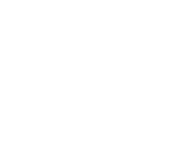 logo white